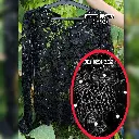 InShot_20250529_132619303.webp
