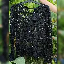 InShot_20250527_110840332.webp